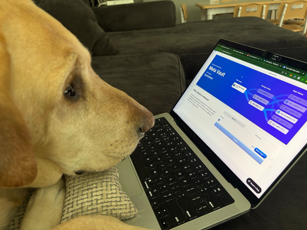 term_labs's tweet photo. Term Strategy Vaults are so easy to use, even your dog could do it!

Try em out now. P.S. they're pet approved. https://t.co/xYL7FgNaJO https://t.co/tcxXC944Mh