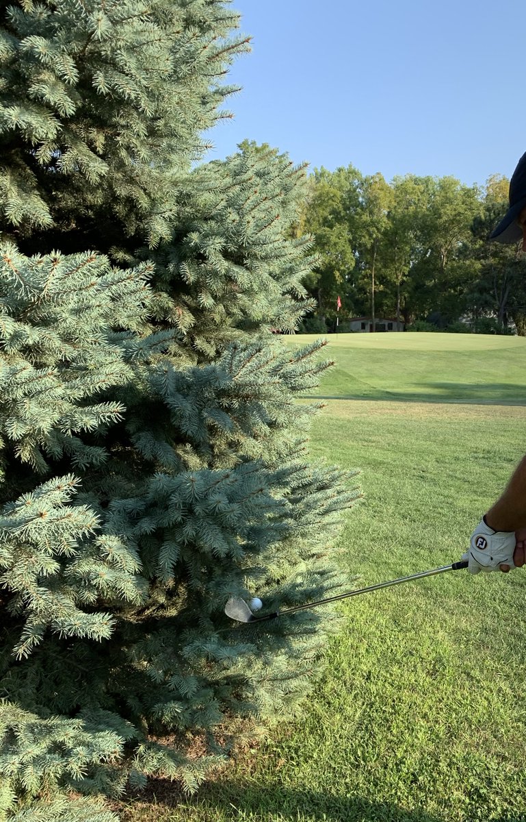 NebGolf tweet media