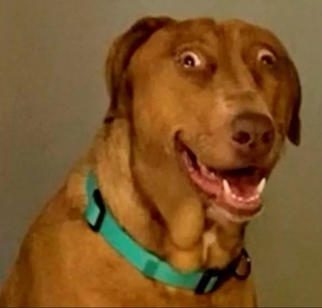 9-5 dude's coming home just to find out psn still isn't working
#PlayStation #PlayStationNetworkDown