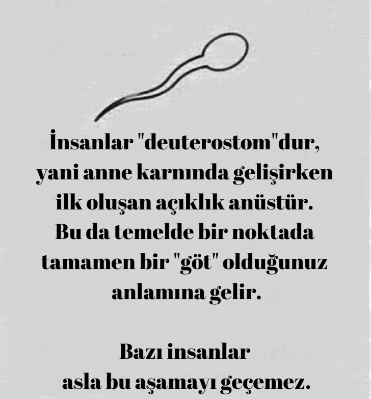 Doğru değil mi? 🤷