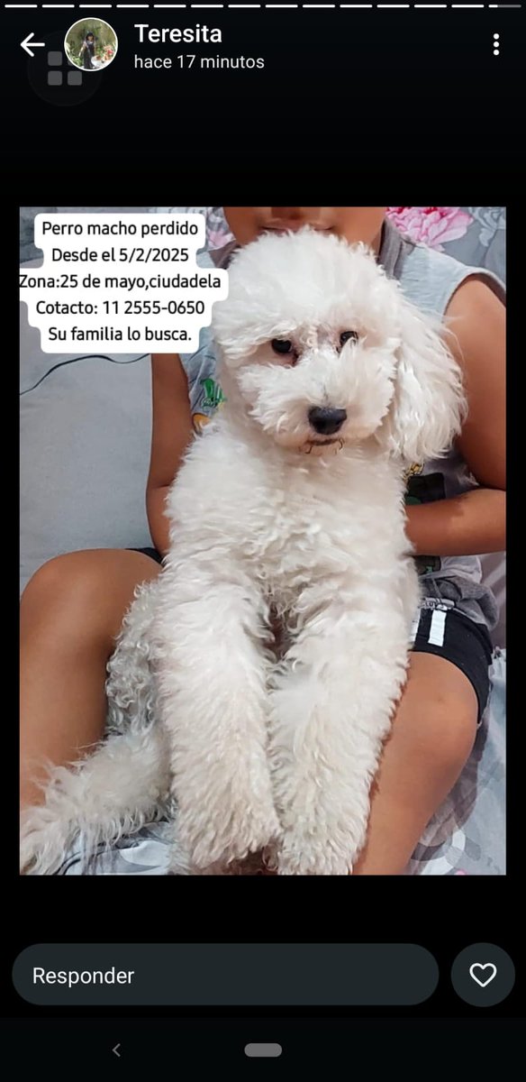Tabyta201's tweet photo. 🚨🙏BUSCADO!!! SU FAMILIA ESTA DESESPERADA!!!! https://t.co/5KlkgMc6ER