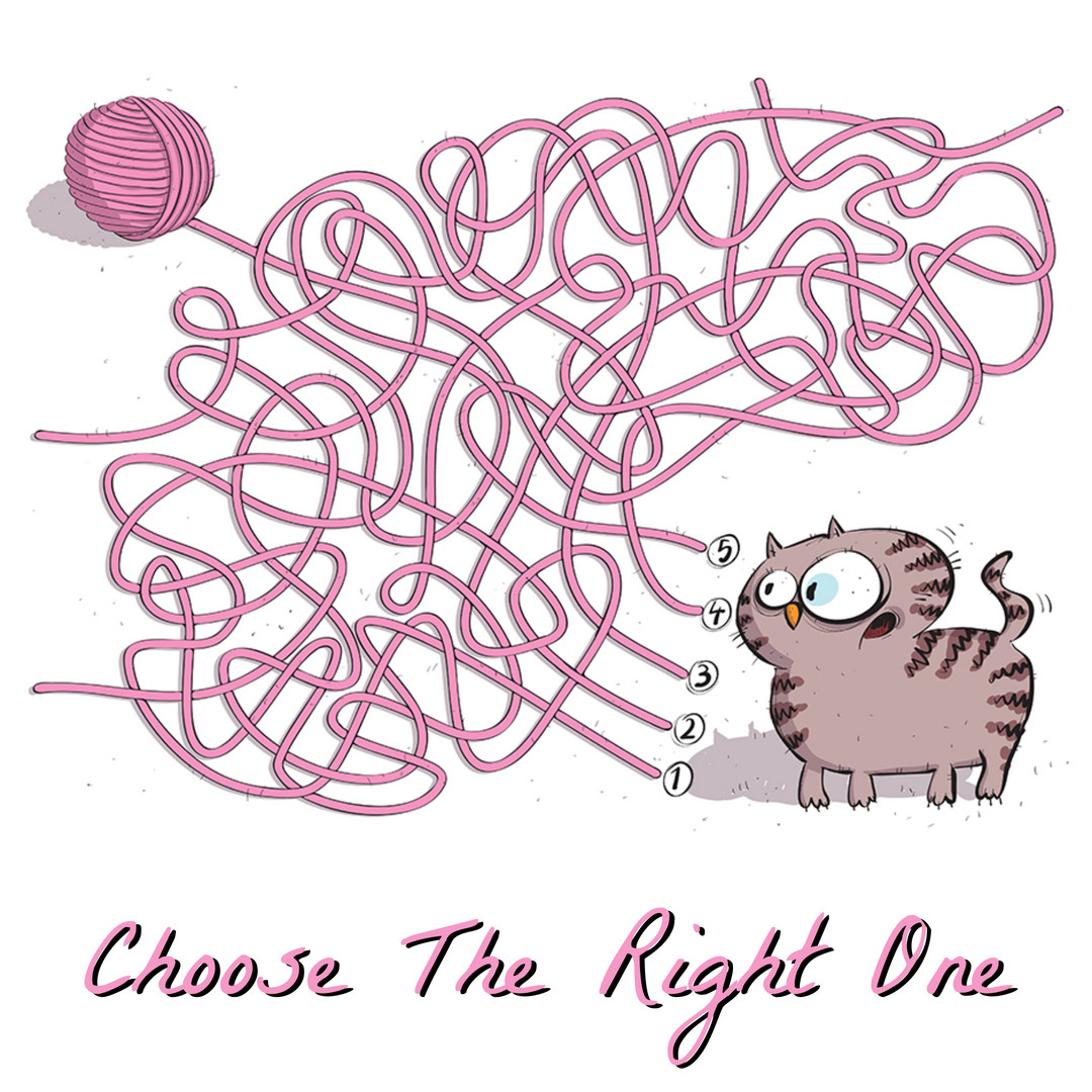 Only one of these strands can help the cat to the ball of yarn.  Which one is the right one?