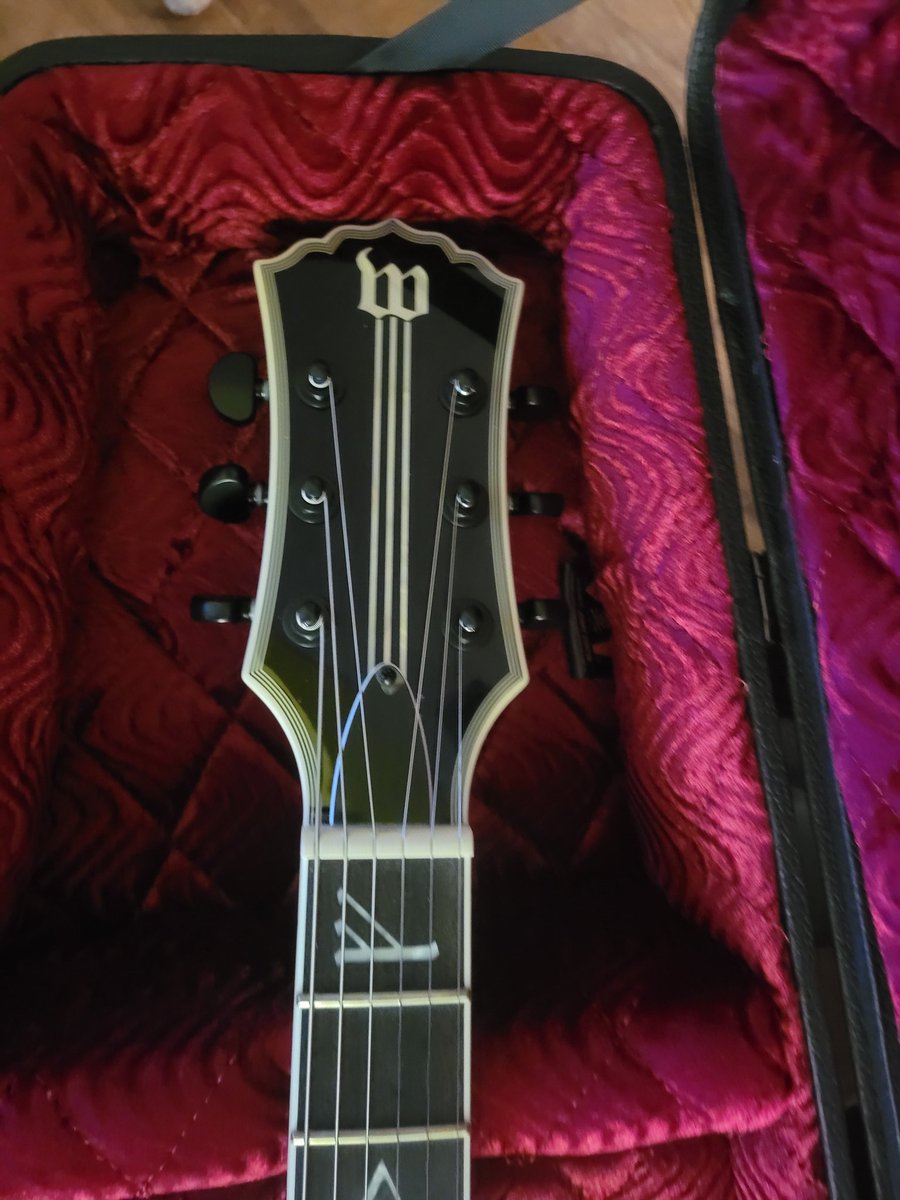 StevenVano94940's tweet image. @ZakkWyldeBLS I just picked up my first Wylde Audio guitar.  I absolutely love it! #Getchapull #Wyldeaudio