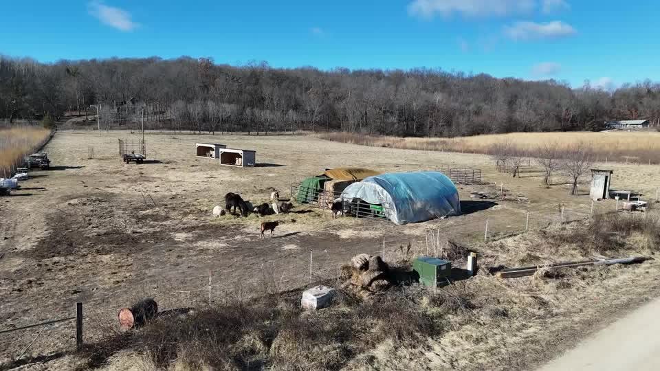 LBuhlerh's tweet photo. This whole thing was to rescue American farmers we see you, Donald, but nonetheless, they must go and live in a pigstall. They have free pass. https://t.co/ANTOyndcdl