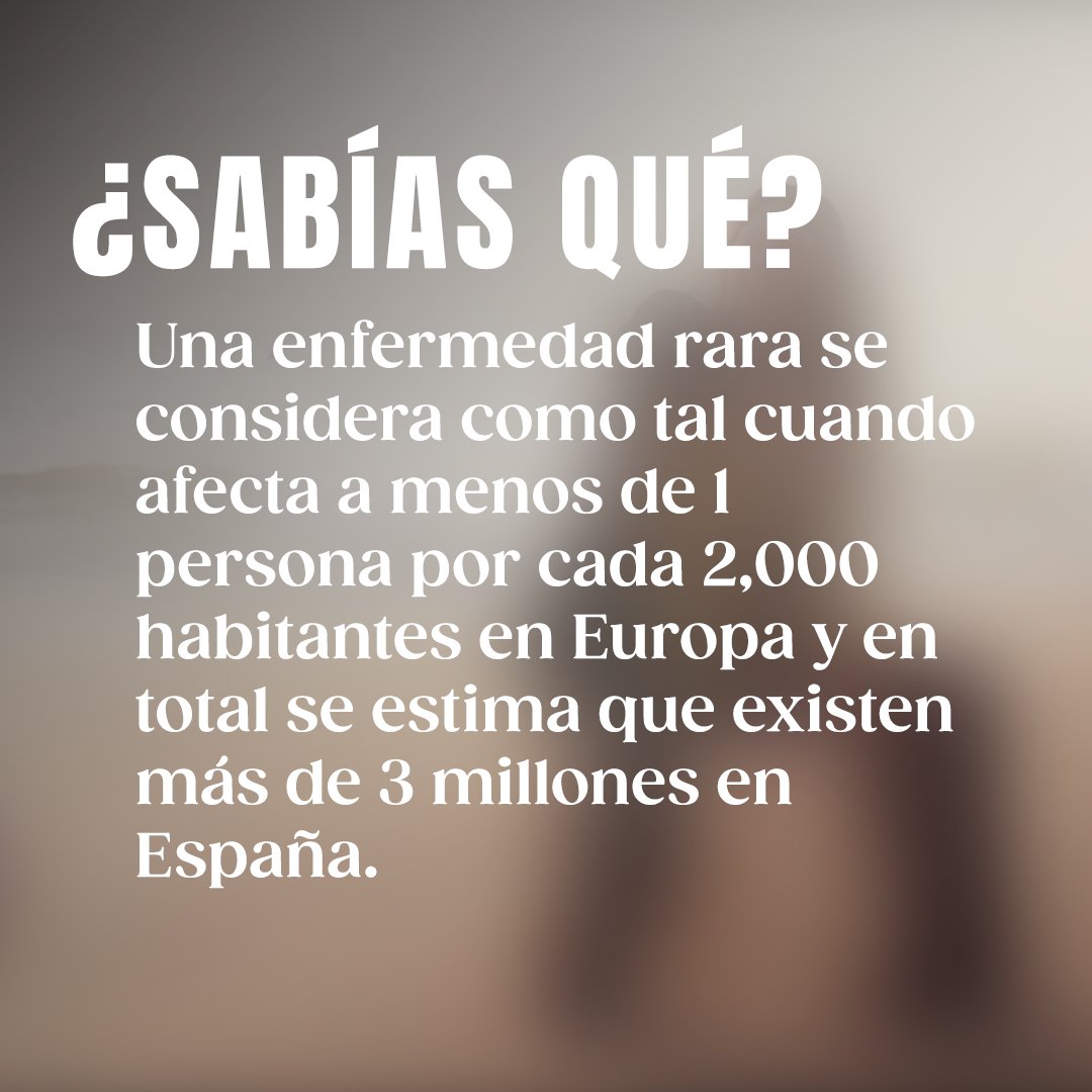 Limmat Films tweet media