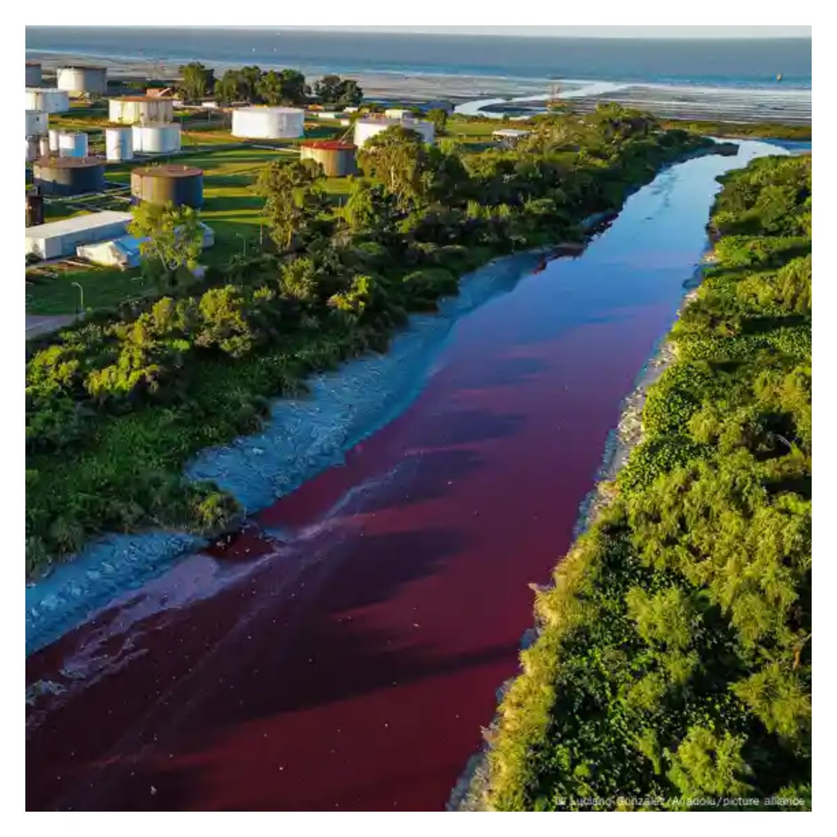SumusBlog's tweet photo. Argentina: Alarm as river runs blood-red #nature #water #river 
🔗 https://t.co/tex06aOsCz

📸 Residents of the area also complained of a smell arising from the waterImage by Luciano Gonzalez/Anadolu/picture alliance

#environment #localclimate #stoppollution #climateresilience #localaction #climateaction