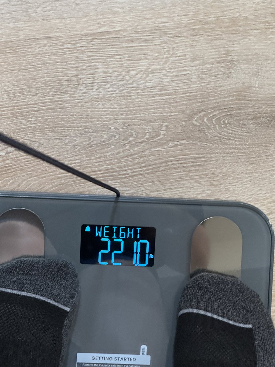 Andy Milonakis tweet media