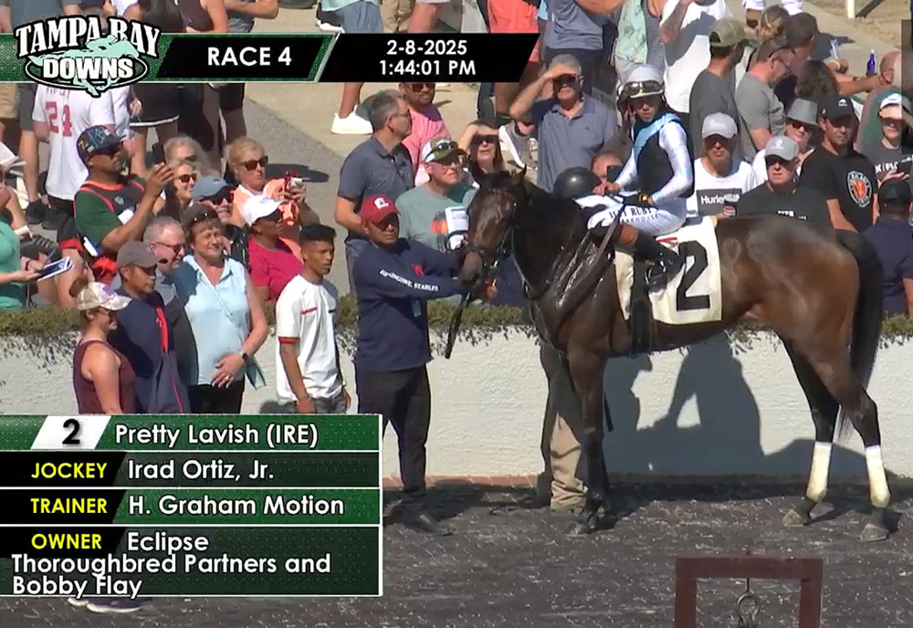 Pretty is as pretty does:

herringswellstables.com/pretty-stylish/

#PoweredbyTLore
#HorseBitscuits