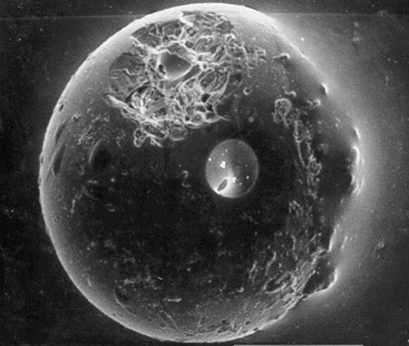 nasapod's tweet photo. Astronomy Picture from 15/02/2004
A Spherule from the Earth's Moon
Source: https://t.co/OahsoWz3gD
#LunarImpacts #MoonGeology #SpaceRocks #ApolloMissions #Micrometeoroids #CraterImpact #LunarSpherule #GlassBead #ImpactCrater https://t.co/Dqu2kxTB2L