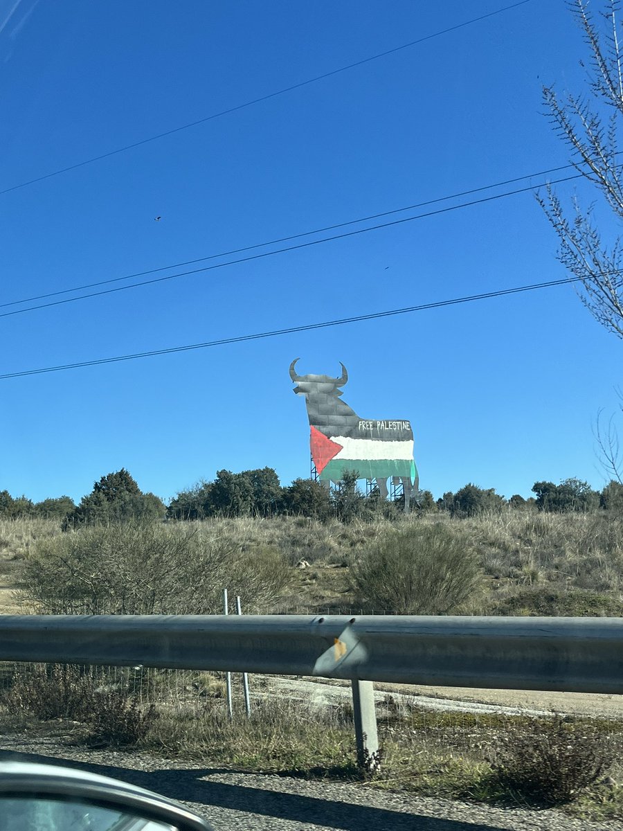 Ana Iris Simón (@anairissimon) on Twitter photo 