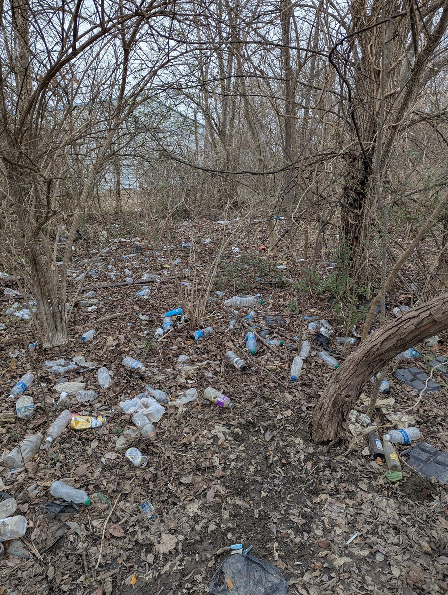 crferrie's tweet image. Met up with a couple of local community members and cleaned up our streets this morning! I think the ducks and geese will be happy all of this litter is now gone! #sustainableactions #neighbourhoodcleanup #BeB3TR