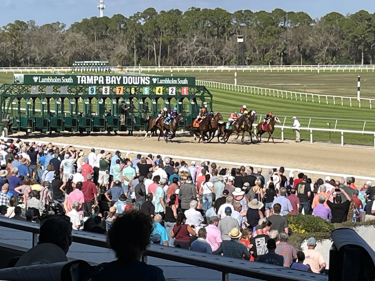 Nick Nosowenko Racing Stable (@nnosowenko) on Twitter photo 