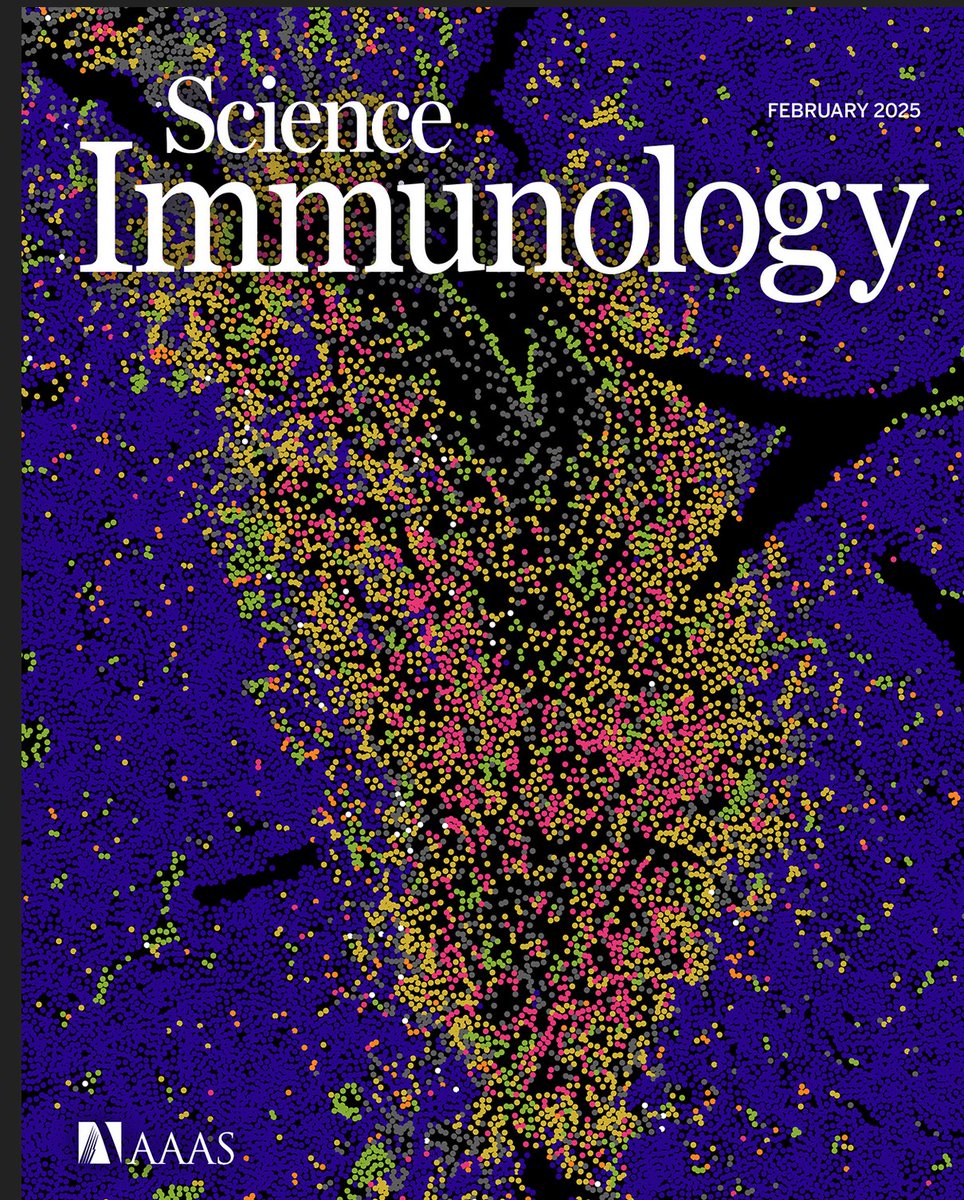 Haas Lab (@haas_lab) on Twitter photo How does multiple myeloma progress? In our latest <a href="/SciImmunology/">Science Immunology</a> cover story, we reveal how myeloma cells breaking through bone trigger dangerous diversity. This arises from bidirectional interactions with the immune system, fueling disease evolution. scim.ag/4hMrLHs 1/2 How does multiple myeloma progress? In our latest <a href="/SciImmunology/">Science Immunology</a> cover story, we reveal how myeloma cells breaking through bone trigger dangerous diversity. This arises from bidirectional interactions with the immune system, fueling disease evolution. scim.ag/4hMrLHs 1/2