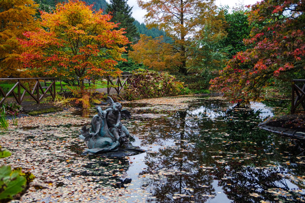 Mark from Scotland (@glenboigmark) on Twitter photo #AlamySeasonalGardens #AlamyPOTM <a href="/AlamyContent/">Alamy Content Team</a> Benmore Botanic Garden, Dunoon, Scotland. #AlamySeasonalGardens #AlamyPOTM <a href="/AlamyContent/">Alamy Content Team</a> Benmore Botanic Garden, Dunoon, Scotland.