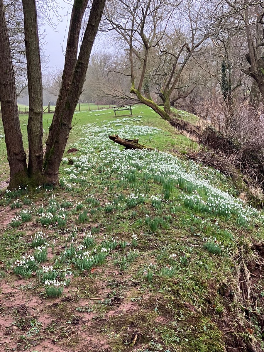 Jill Harrison tweet media