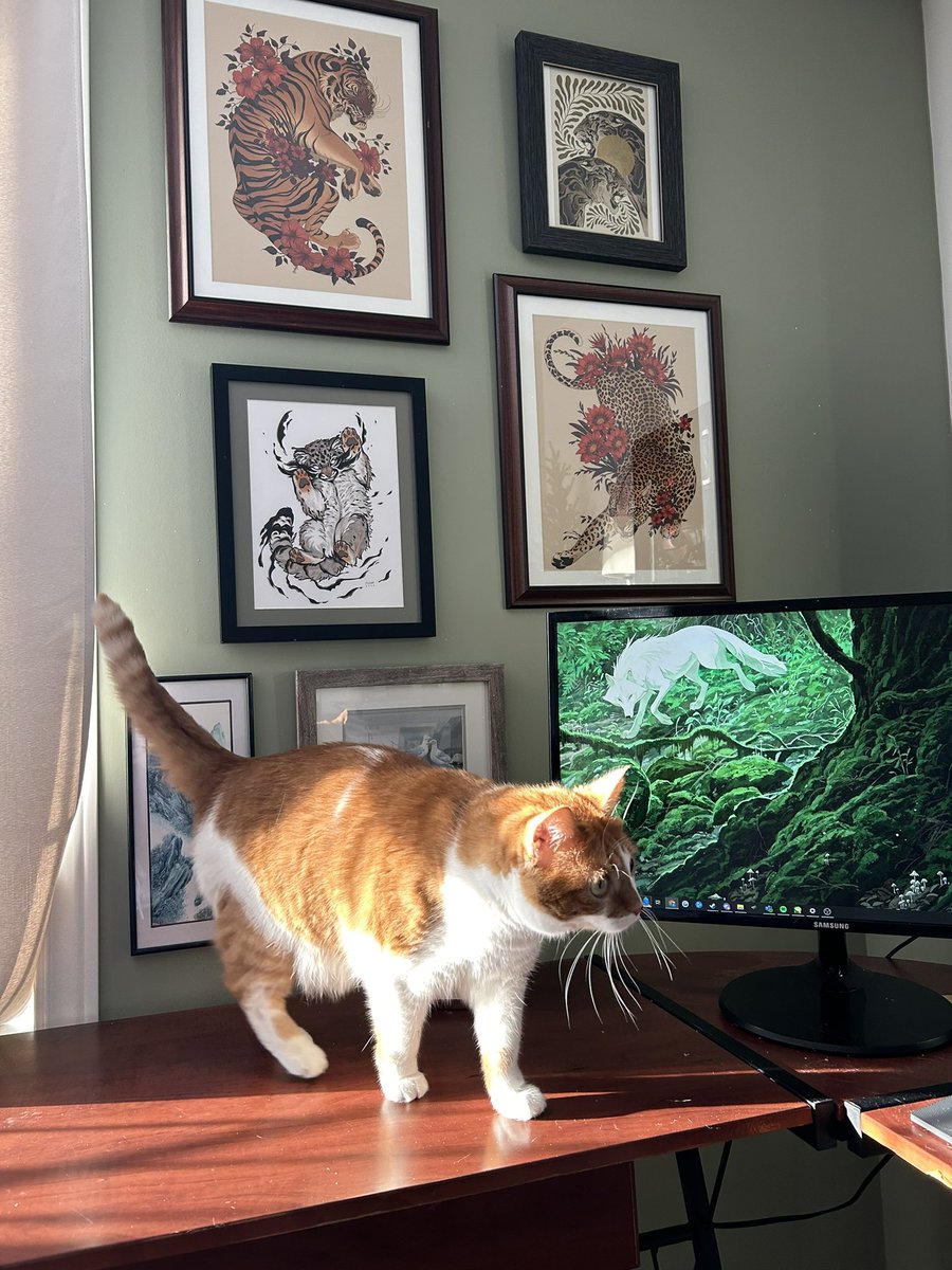 nali_draws's tweet image. finally hung up all my prints now that they are all framed, Cheeto is “helping”