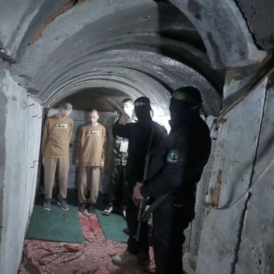 Sacha Roytman tweet media