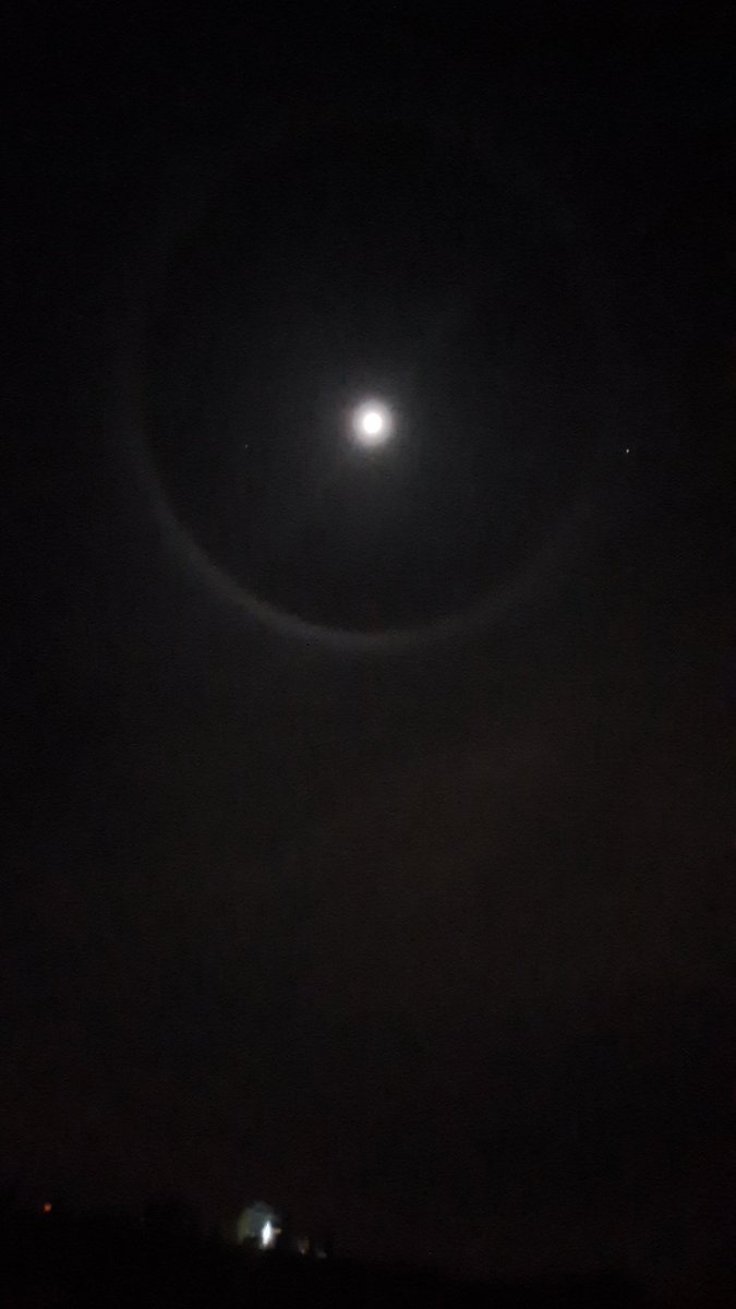 maria_matrona tweet media