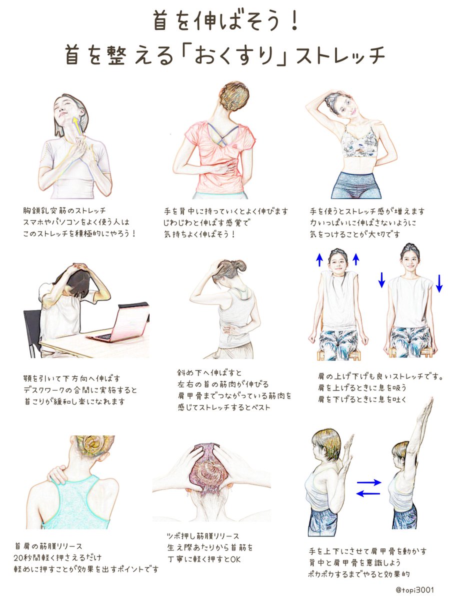 マジで重要なので3回言わせてください！

首のばして！
首のばして！
首のばして！