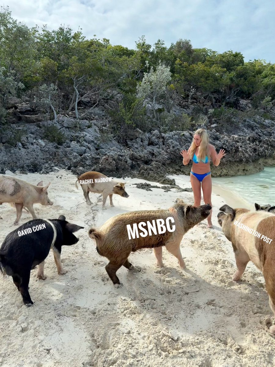 Vera Tomilova tweet media