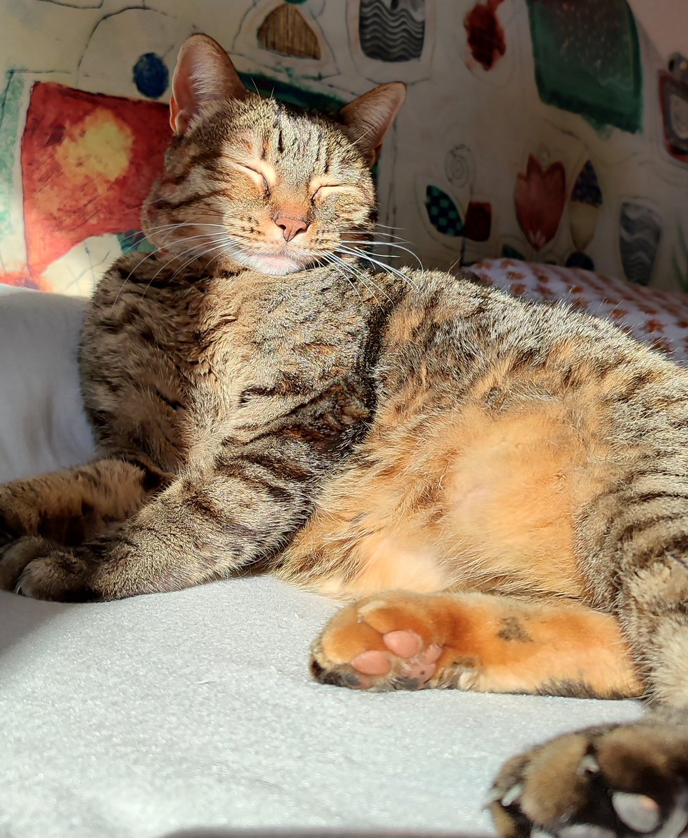 _list91's tweet image. 