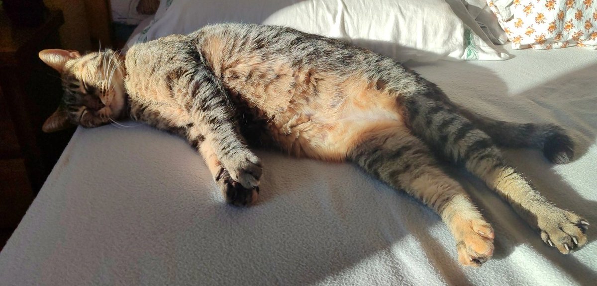 _list91's tweet image. 