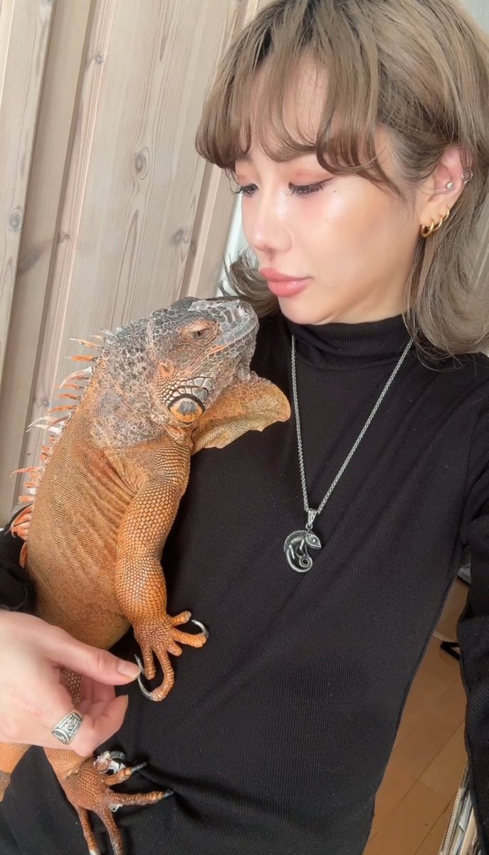 ちゃんしぃ🪬🫧 (@chanc0725) / Posts / X