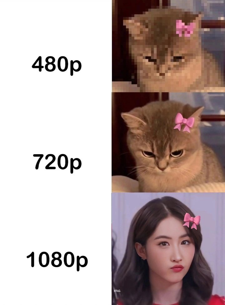 Hi good morning Yotuals! Ayo ngobrol aku baru balik hiatus, kalian weekend ini ada kegiatan apa? 😼