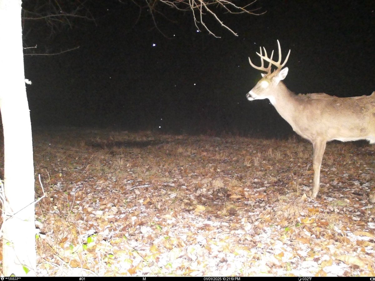 Danny Robinson tweet media