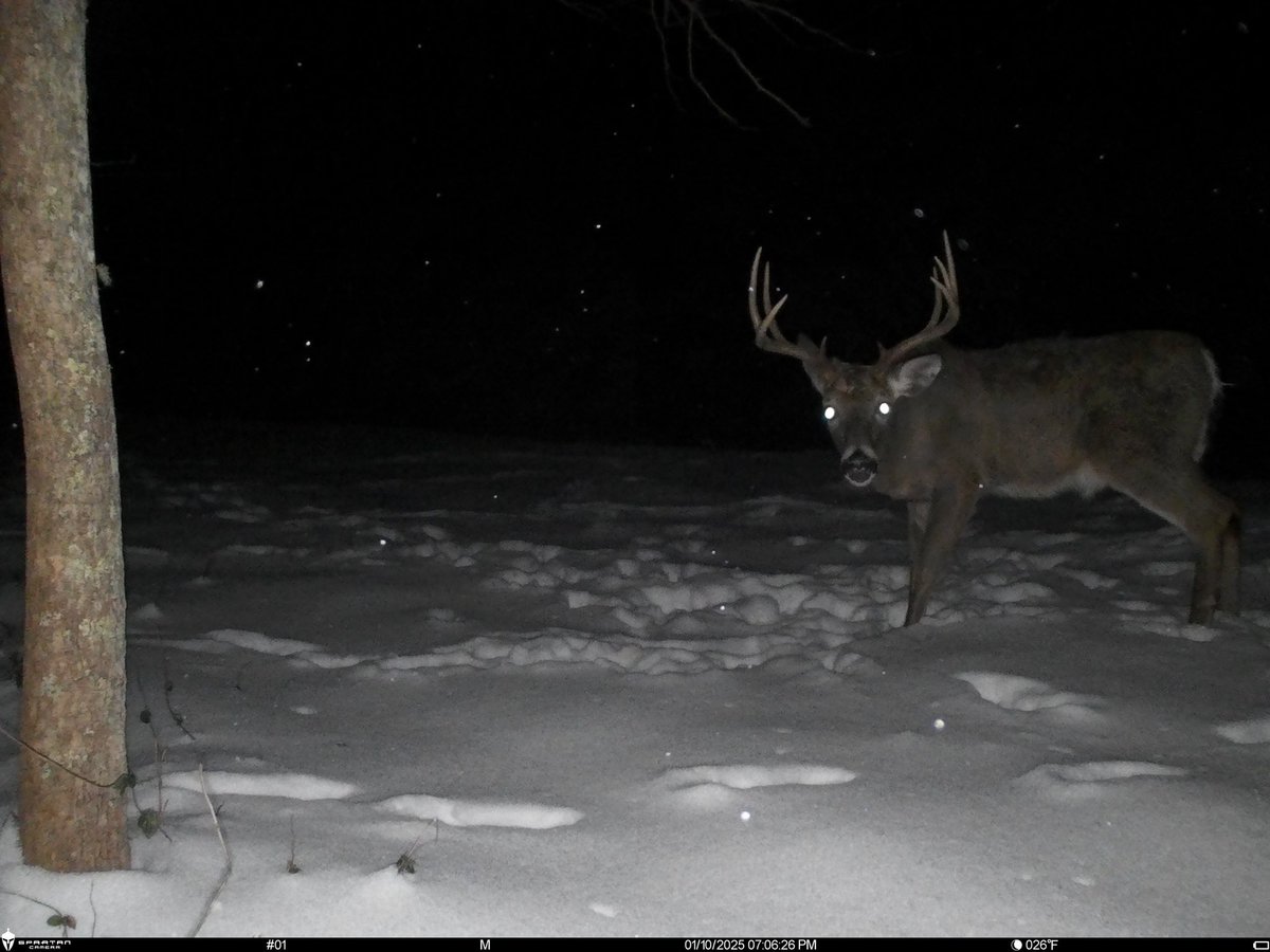 Danny Robinson tweet media