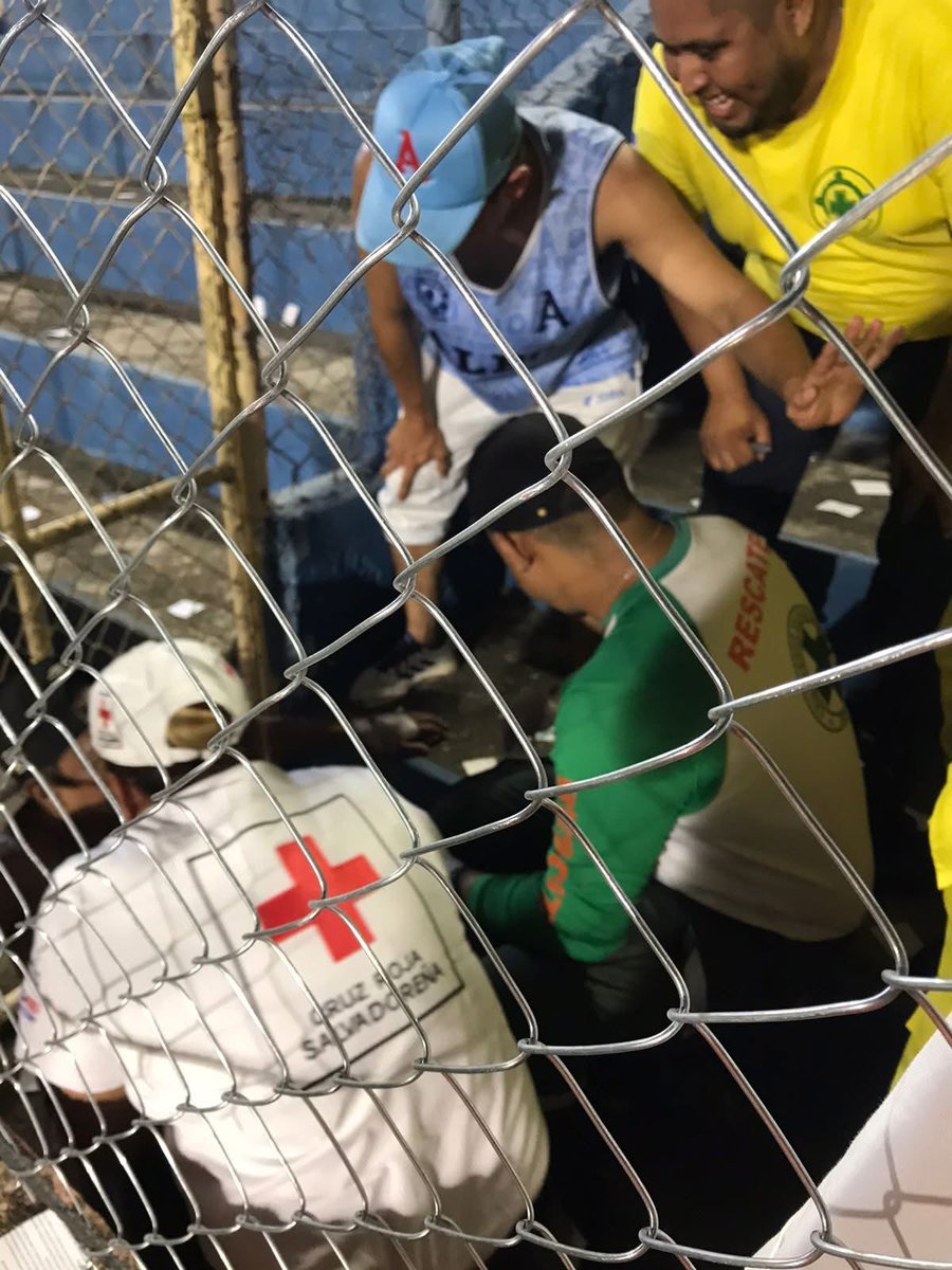 UN maitro pendejo del vlianza se subio a la malla y se cayó 🤣