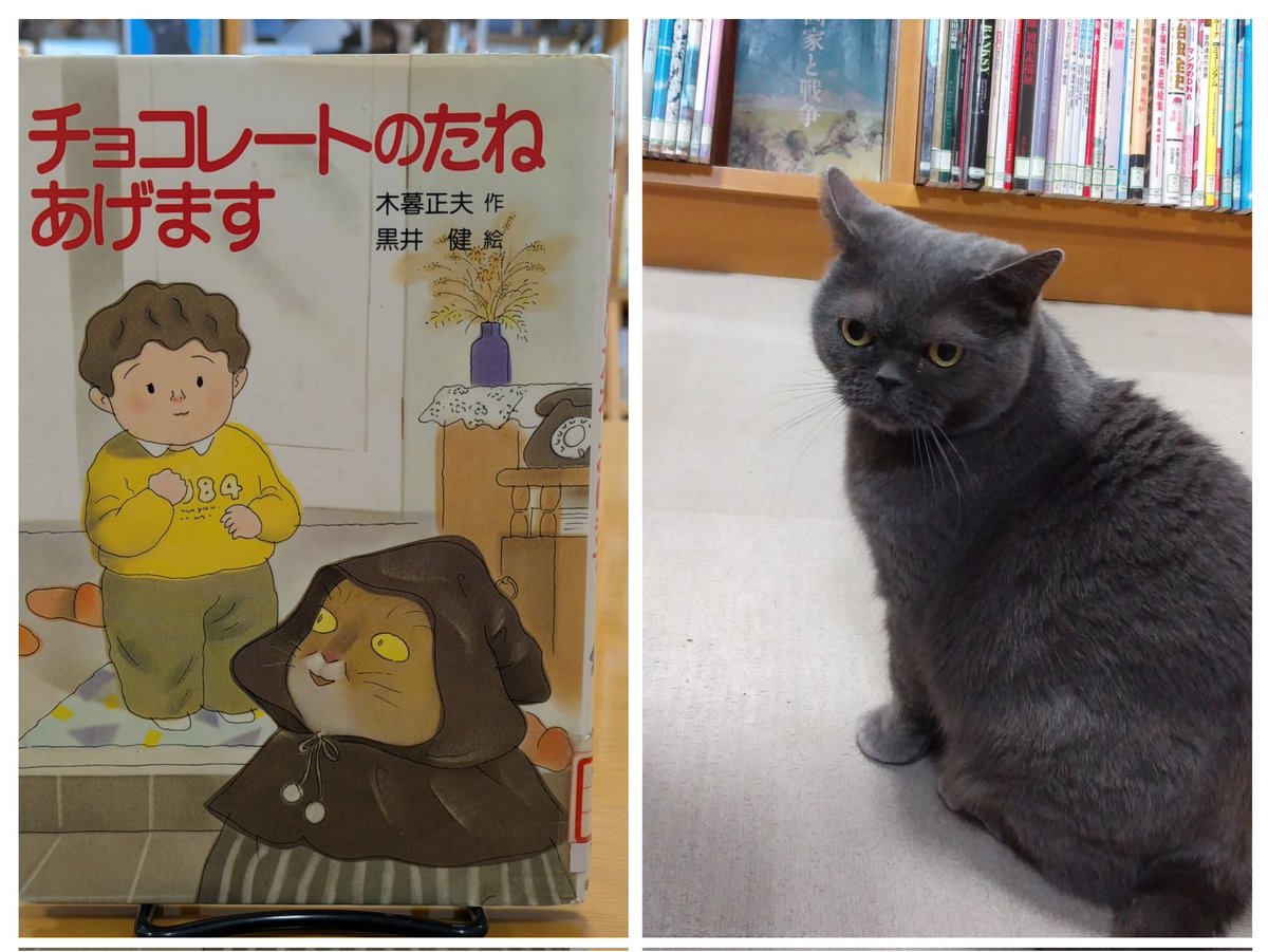 チョコレートのたねあげます　木暮正夫　作　　黒井健　絵　　　岩崎書店 チョコレートのたねあげます - 株式会社岩崎書店 この1冊が未来をつくる