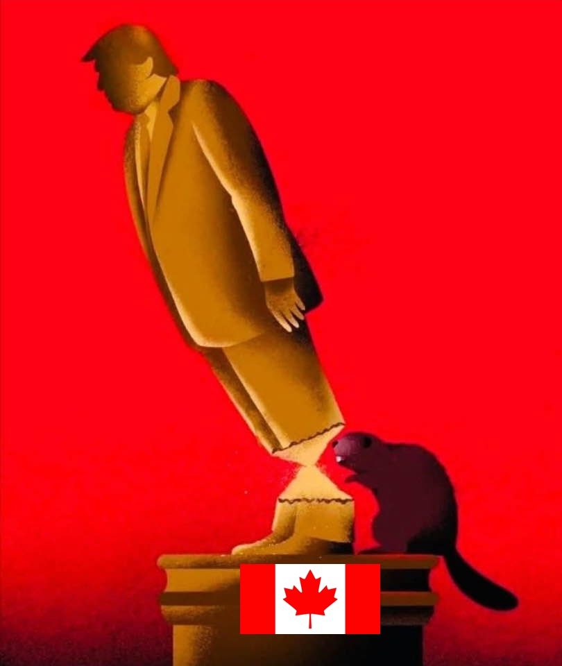 The Canada Party (@thecanadaparty) on Twitter photo 