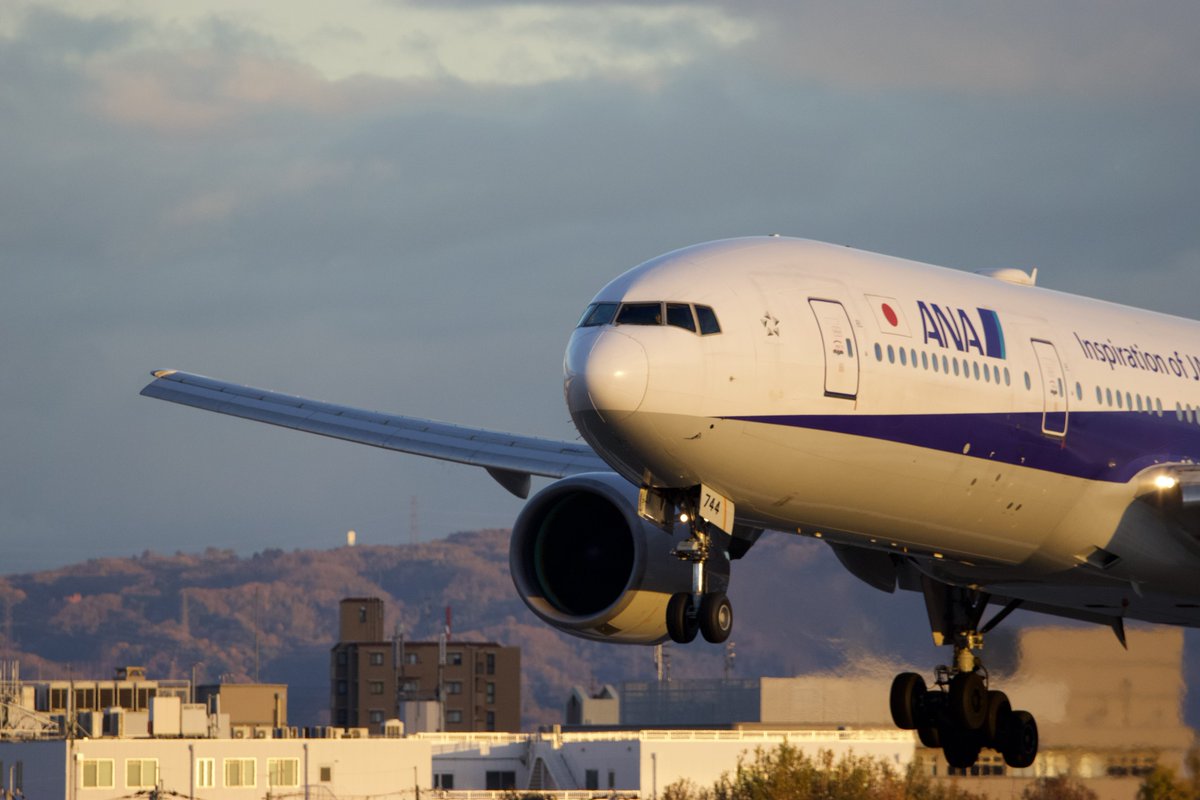 hatisyan's tweet photo. 超久々に✈️✈️✈️
  #B777  
  #ANA 
  #伊丹空港 https://t.co/sBozQFge8G