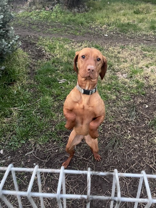 hey team i redownloaded twitter how we doin