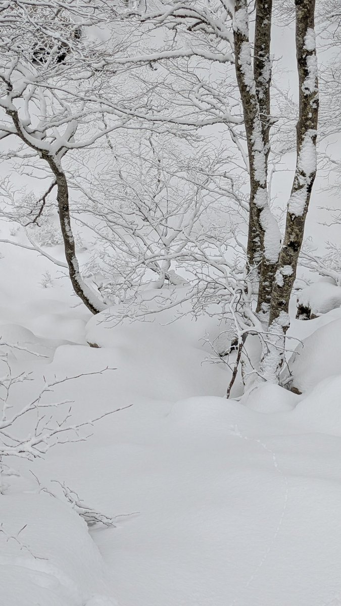 meteoema's tweet photo. Aizkorriko igoera gaur https://t.co/Xohg9DQTnX