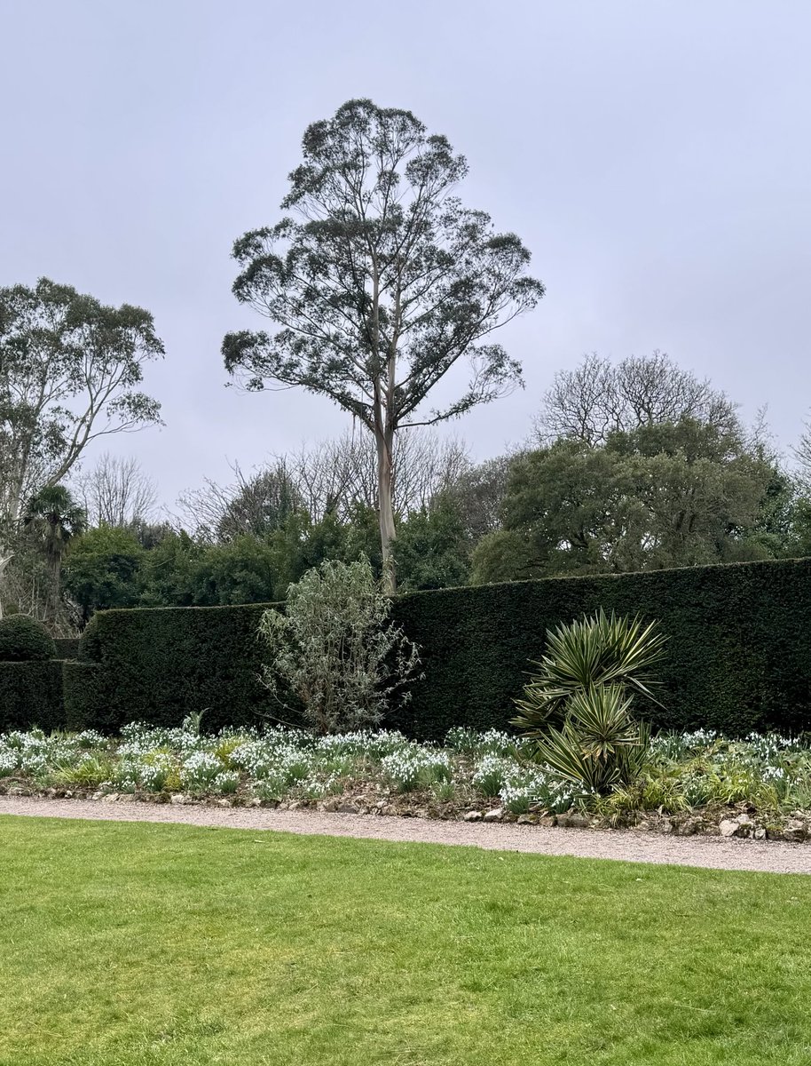 Malcolm Prideaux tweet media