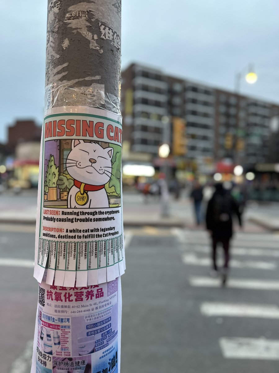 jaythecoolcat2's tweet photo. Have you seen $SHIRO
@Shiro?" #FINDSHIRO #LostShiro https://t.co/BZgLWn7PZI
