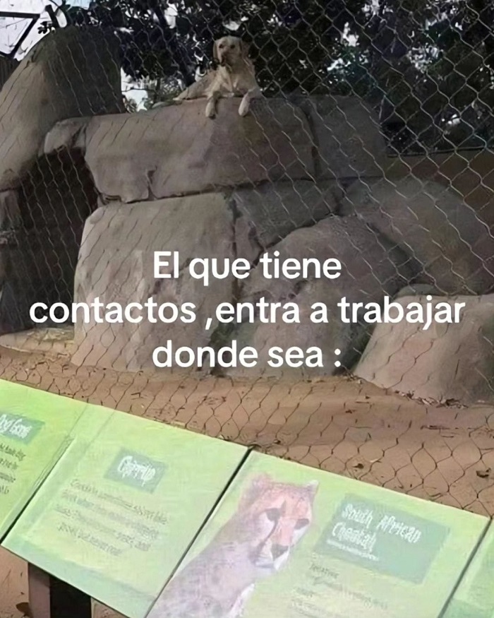 EnsedeCiencia's tweet photo. 🤡 https://t.co/AmobMK09dy