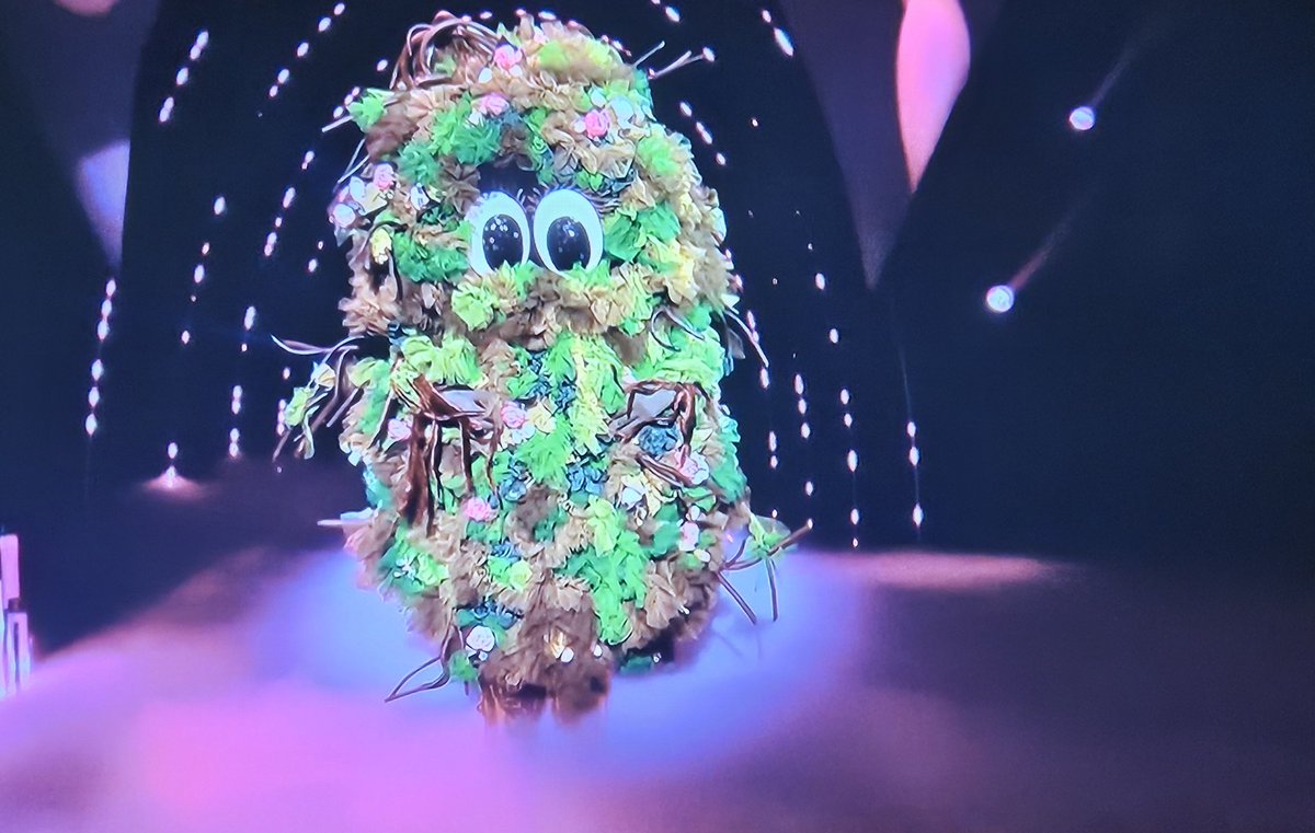 DanixRx's tweet photo. Got it right that @Nat_Cassidy was bush on @MaskedSingerUK #maskedsingeruk https://t.co/BlXpDczZp7