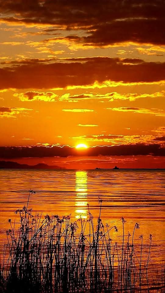 Good night people Sweet dreams!