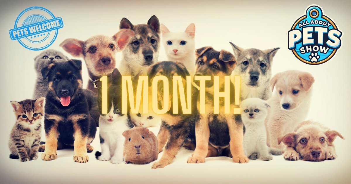 All About Pets Show is only ONE MONTH AWAY! Happening at The Aud in Simcoe (Norfolk County) on Saturday March 8 and Sunday March 9! allaboutpetshow.ca/event-informat…