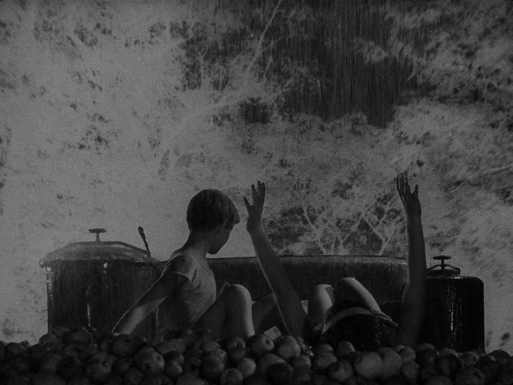 "önde zeytin ağaçları arkasında yar
seni karasaplı bir bıçak gibi
sineme sapladılar"

🎬 ıvan's childhood, 1962