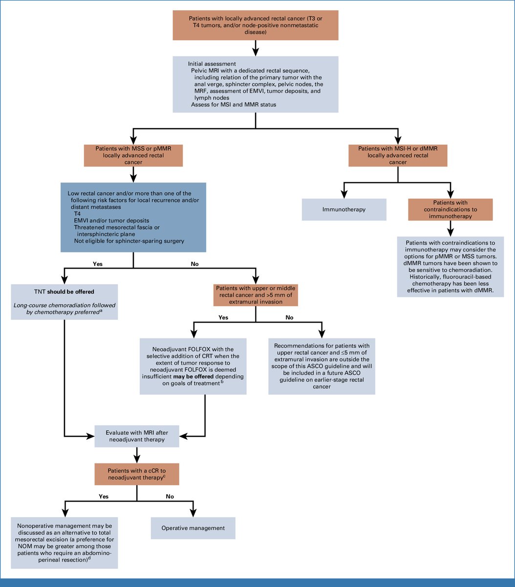 Oscar Tahuahua (@oscartahuahua) on Twitter photo Management of Locally Advanced Rectal Cancer: ASCO Guideline | <a href="/JCO_ASCO/">Journal of Clinical Oncology</a>
ascopubs.org/doi/full/10.12… Management of Locally Advanced Rectal Cancer: ASCO Guideline | <a href="/JCO_ASCO/">Journal of Clinical Oncology</a>
ascopubs.org/doi/full/10.12…