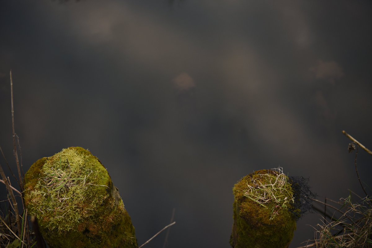 New Website Content:
.
39 Items Signifying Death, along the Lagan River 📷
.
kevindohertyart.com/39-items-signi… - ©
.
#Belfast - 📍
#recovery - ⚕️