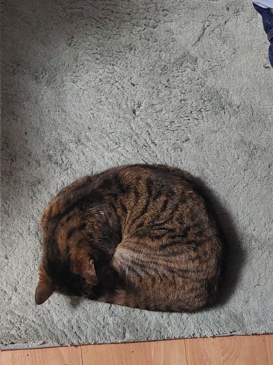 Rebecca Seaton tweet media