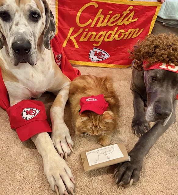 Maverick &amp; Apache are Super Bowl ready!  Maverick as Mahomes, Apache as Kelce, and Coach Reid drawing up the perfect play? The THREE-PEAT is on!

With a little Tay-Vodoo magic, there’s only one goal—another championship!  LET’S GO CHIEFS! <a href="/newheightshow/">New Heights</a> <a href="/Chiefs/">Kansas City Chiefs</a>