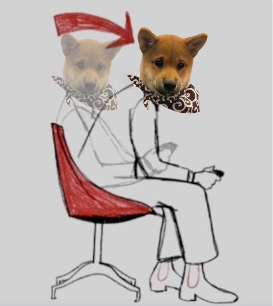 dogwifscarfcto's tweet photo. Round 2

$SCARF https://t.co/UUNWCvVCAT