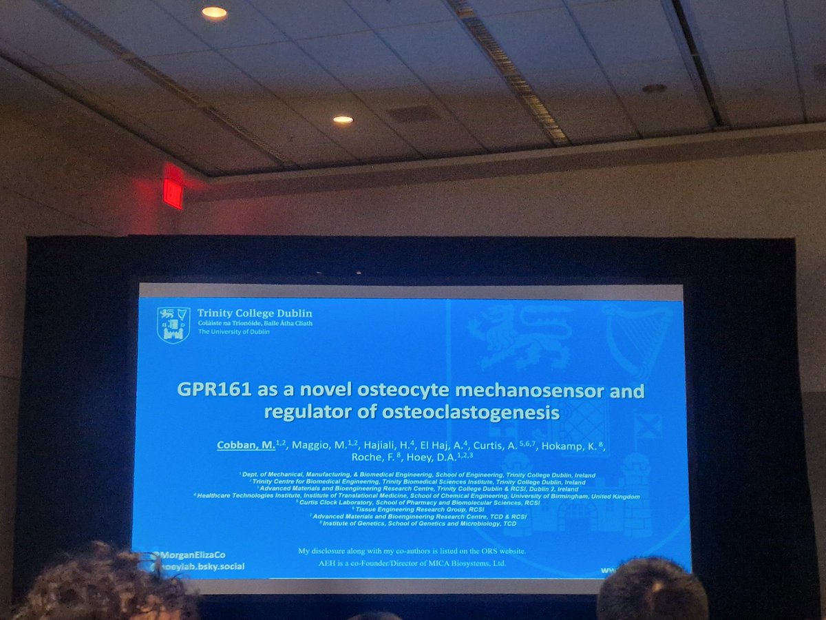 Dr. Miriam Tschaffon-Müller tweet media