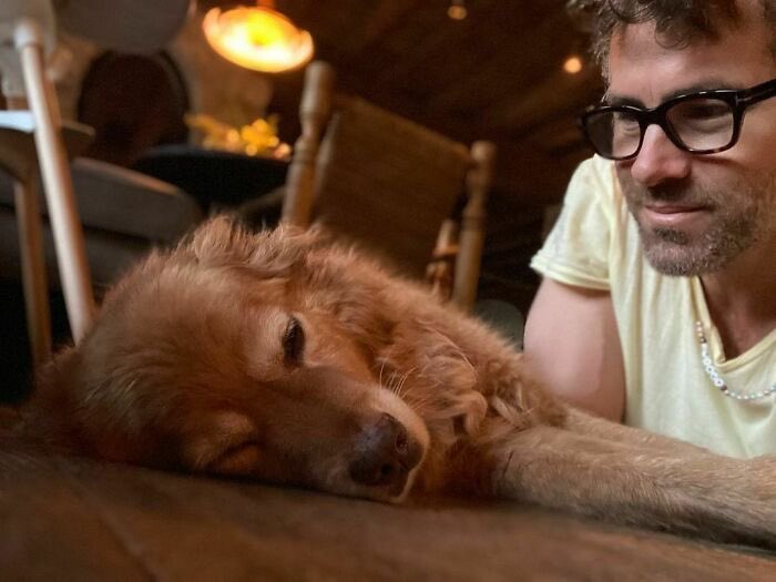doseofreynolds's tweet photo. hey, so i’ve made the decision to abandon this account 
with everything going on (do i even need to explain?) i really cannot deal with negativity and insanity around it 
and even besides that this account does not even get enough engagement to begin with + https://t.co/Ruu7jPFHwD